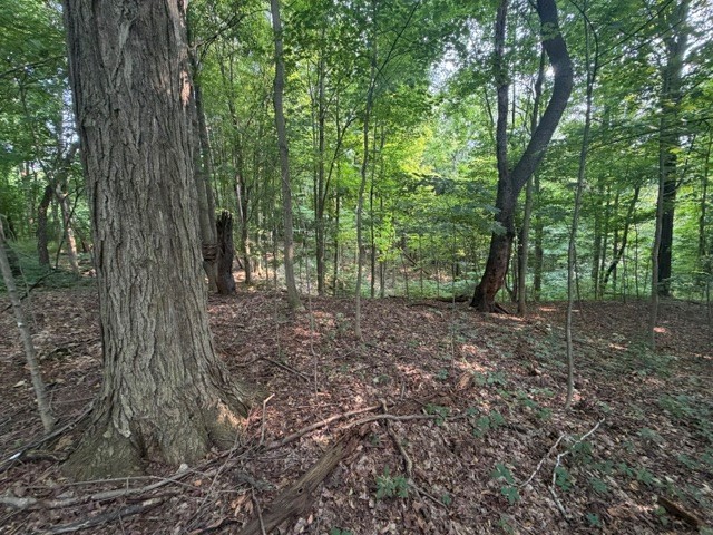 Maple Ridge Road Arcadia, NY 14513 - Photo 24 of 37