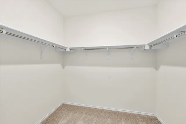 a view of a storage & utility room with racks on the wall