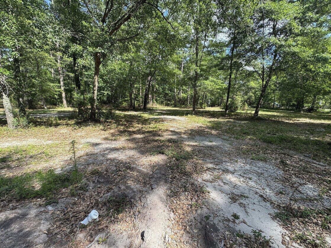 3452 Cypress Pond Road Walterboro, SC 29488 - Photo 7 of 9