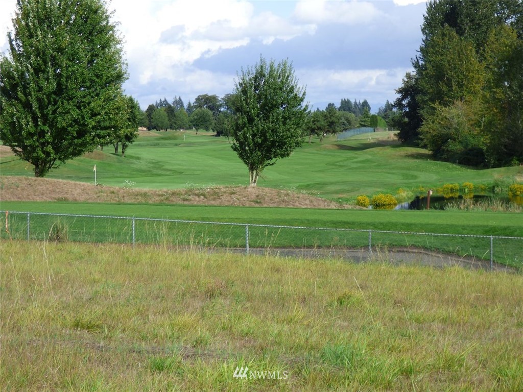 0 Northwest 289th Street Ridgefield, WA 98642 - Photo 3 of 12