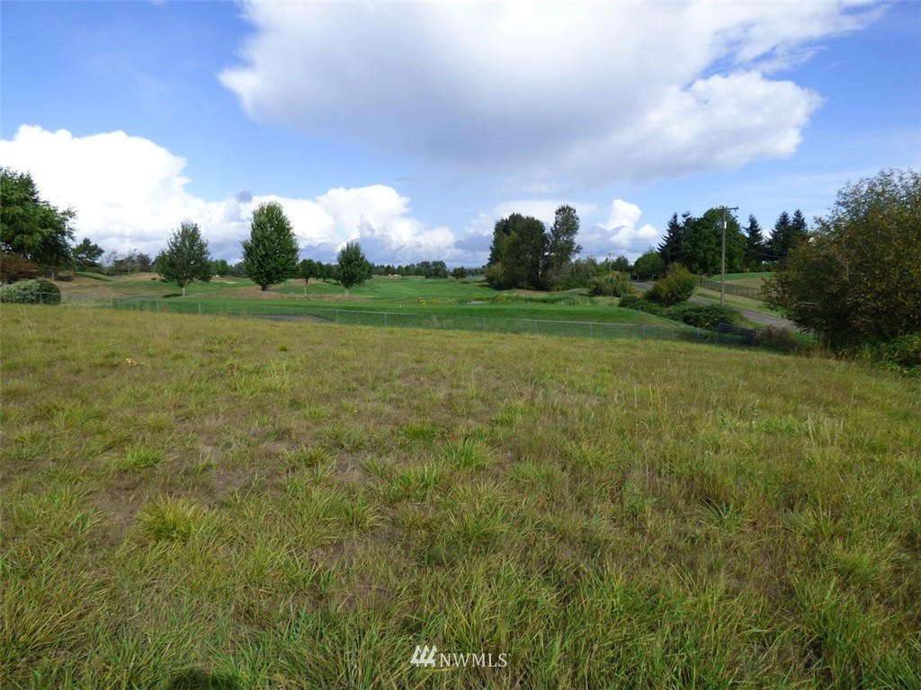 0 Northwest 289th Street Ridgefield, WA 98642 - Photo 4 of 12