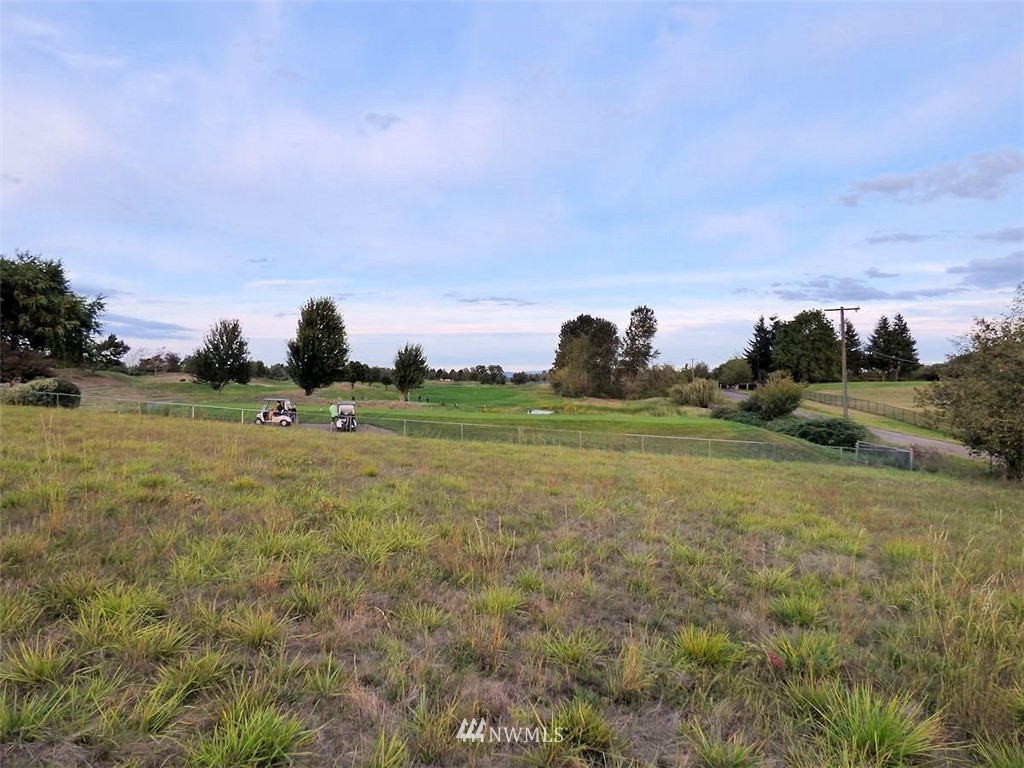 0 Northwest 289th Street Ridgefield, WA 98642 - Photo 5 of 12