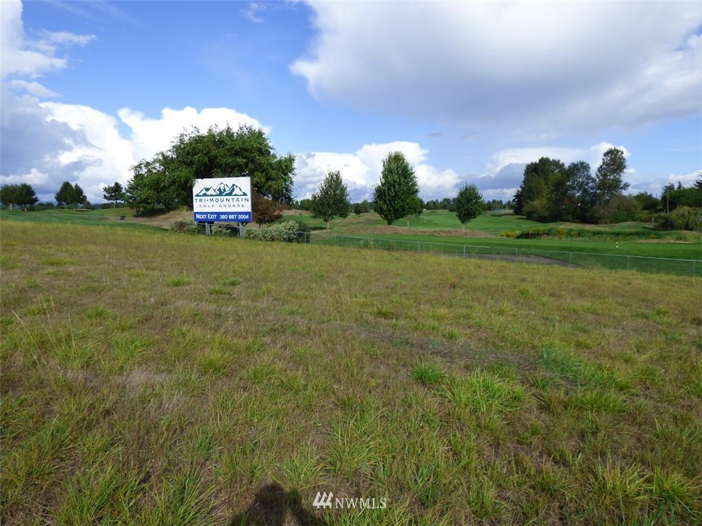 0 Northwest 289th Street Ridgefield, WA 98642 - Photo 8 of 12