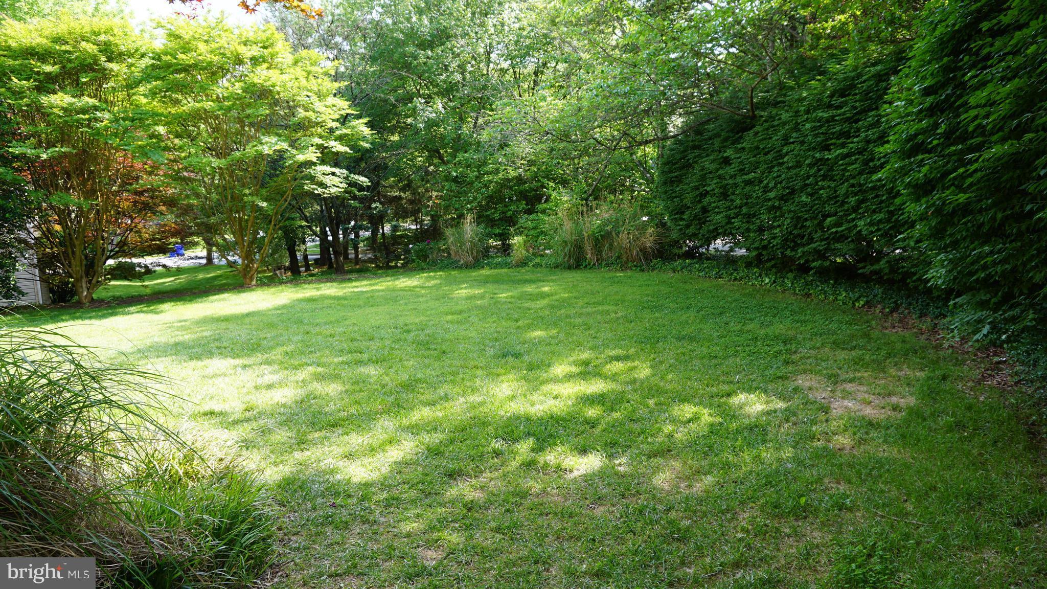 9412 Spruce Tree Circle Bethesda, MD 20814 - Photo 29 of 29 Large private side yard.