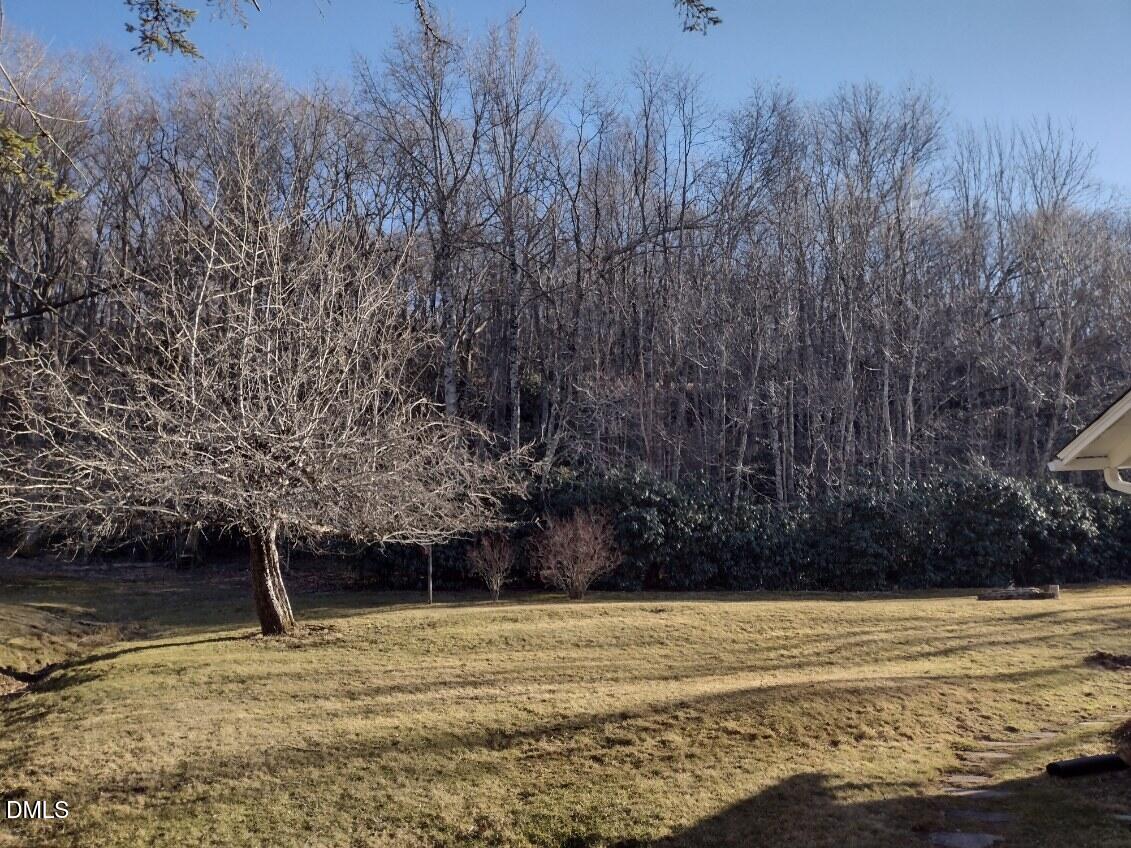 659 Chestnut Grove Road Spruce Pine, NC 28777 - Photo 16 of 38 image000000