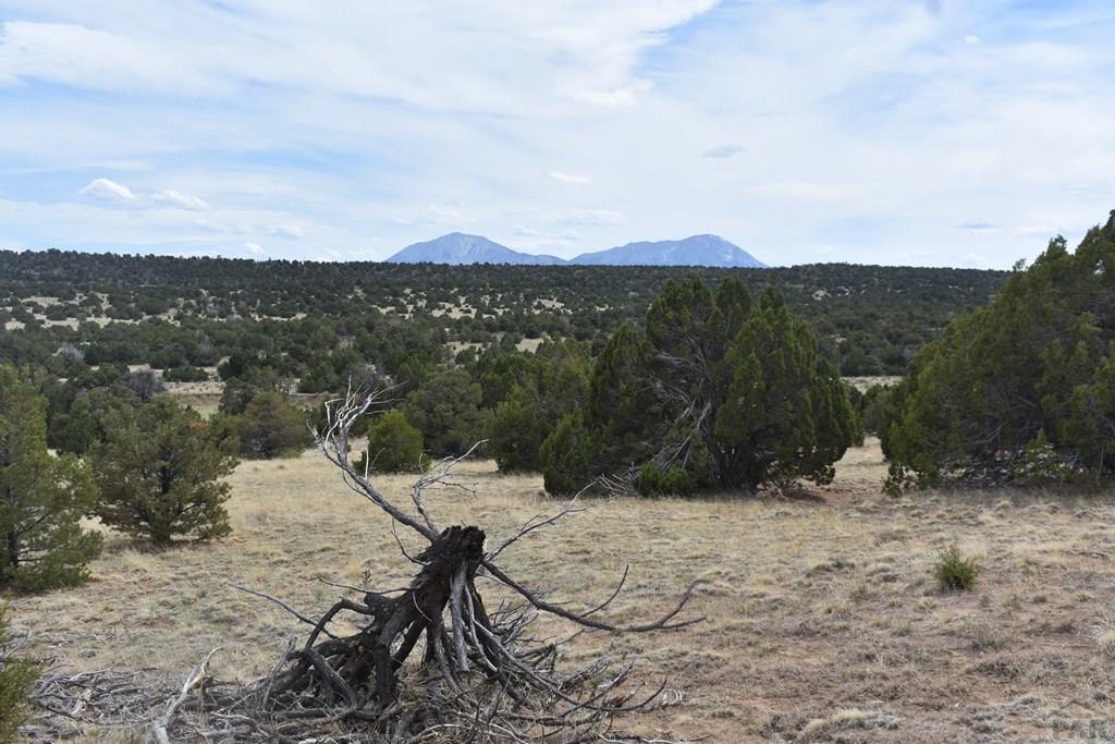 87-119 Twin Lakes Road Walsenburg, CO 81089 - Photo 6 of 21