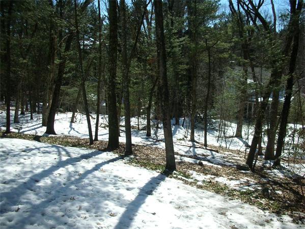 77 Old Coach Road Sudbury, MA 01776 - Photo 20 of 21 Gallery Image 20