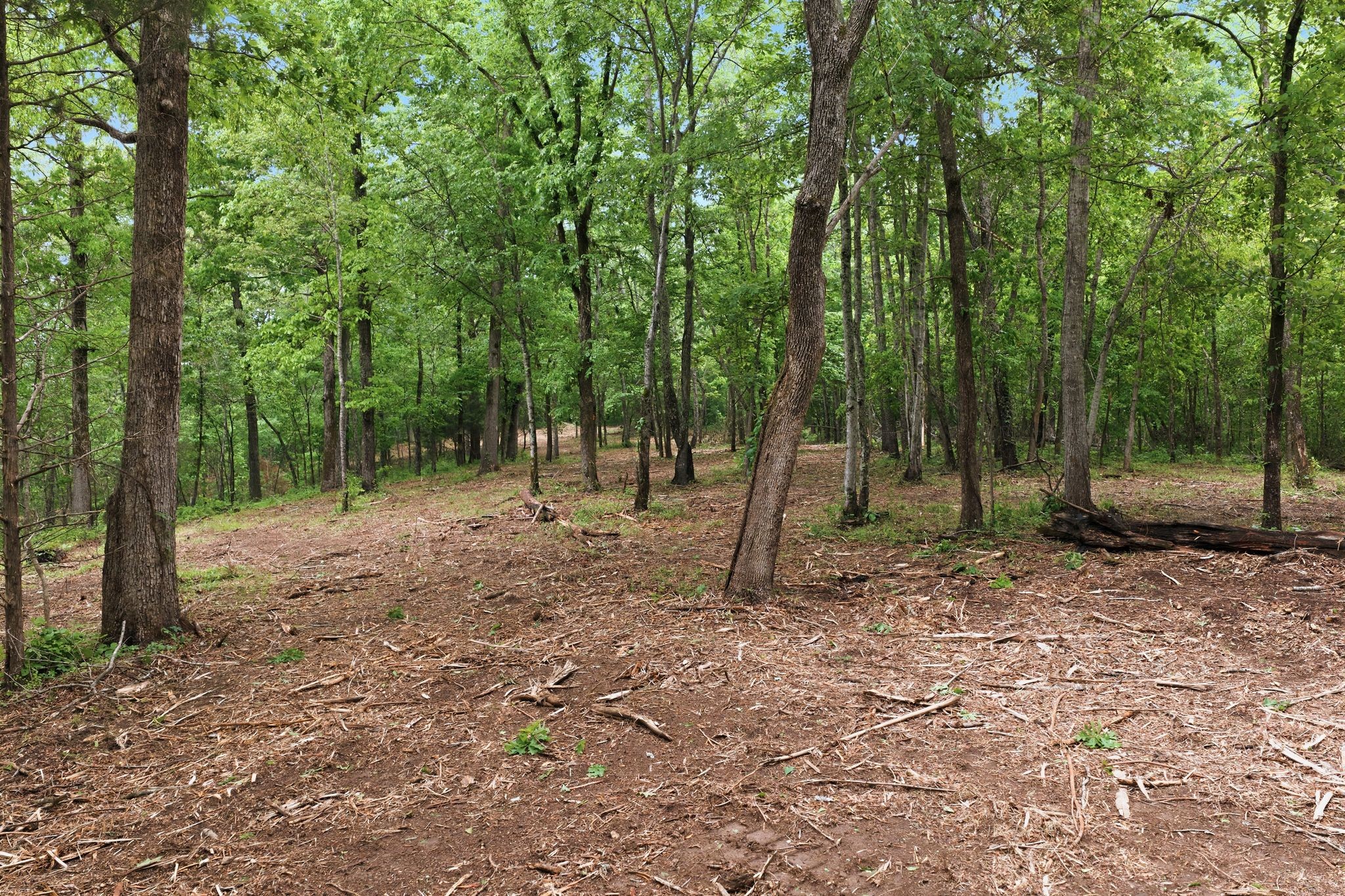 0 Willow Springs Road Lyles, TN 37098 - Photo 2 of 19 a backyard of a house