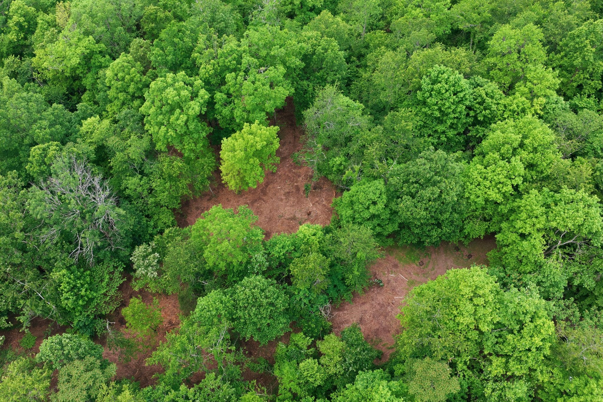 0 Willow Springs Road Lyles, TN 37098 - Photo 5 of 19 an aerial view of residential house with outdoor space and trees all around