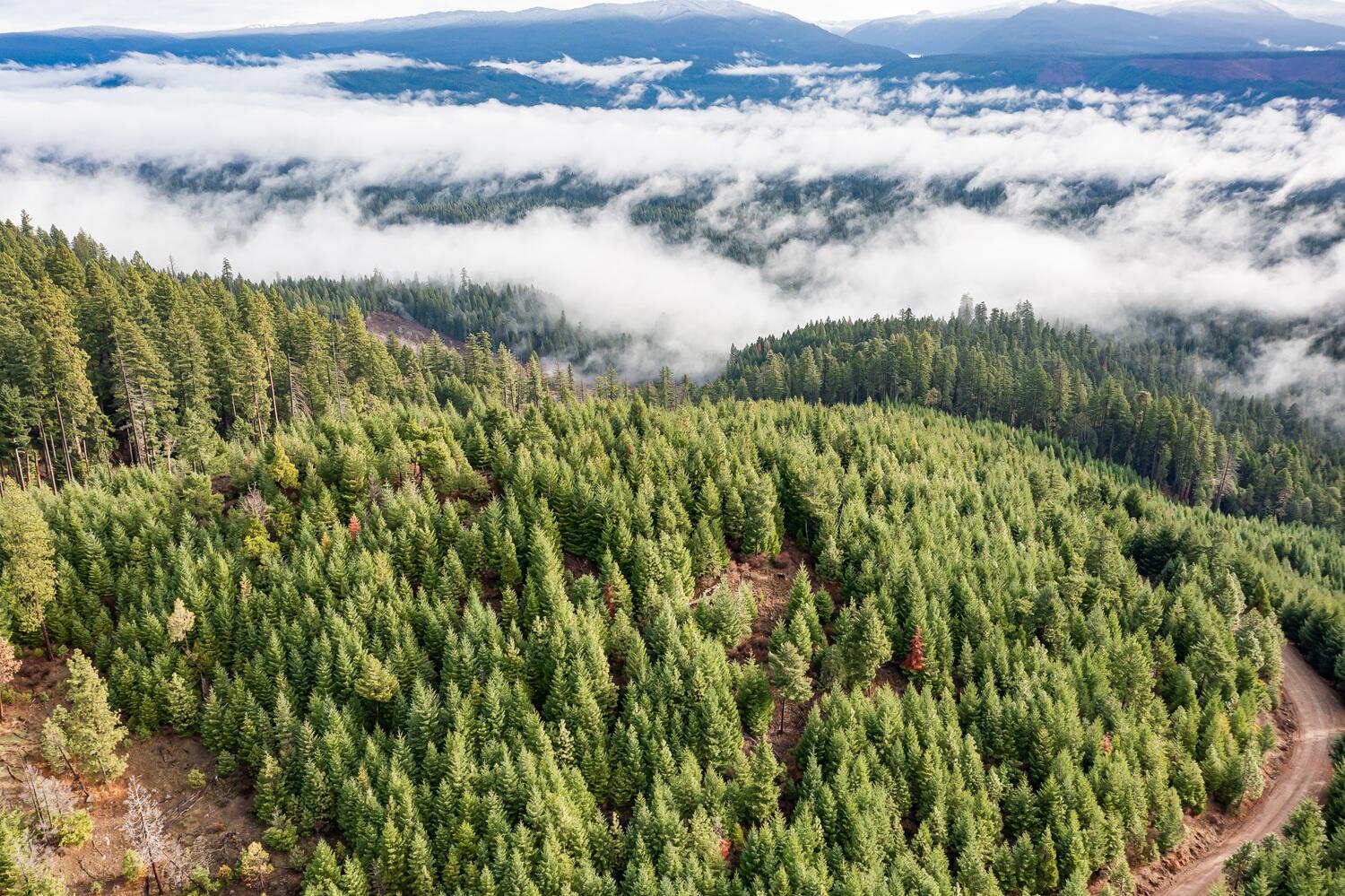 River Road Trail, OR 97541 - Photo 10 of 20 DJI_0942HDR27