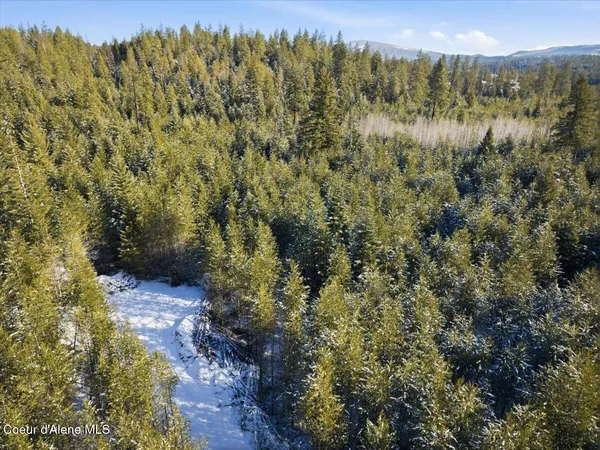$699,000 | Nka Nka Amaze Way, Athol, ID 83801