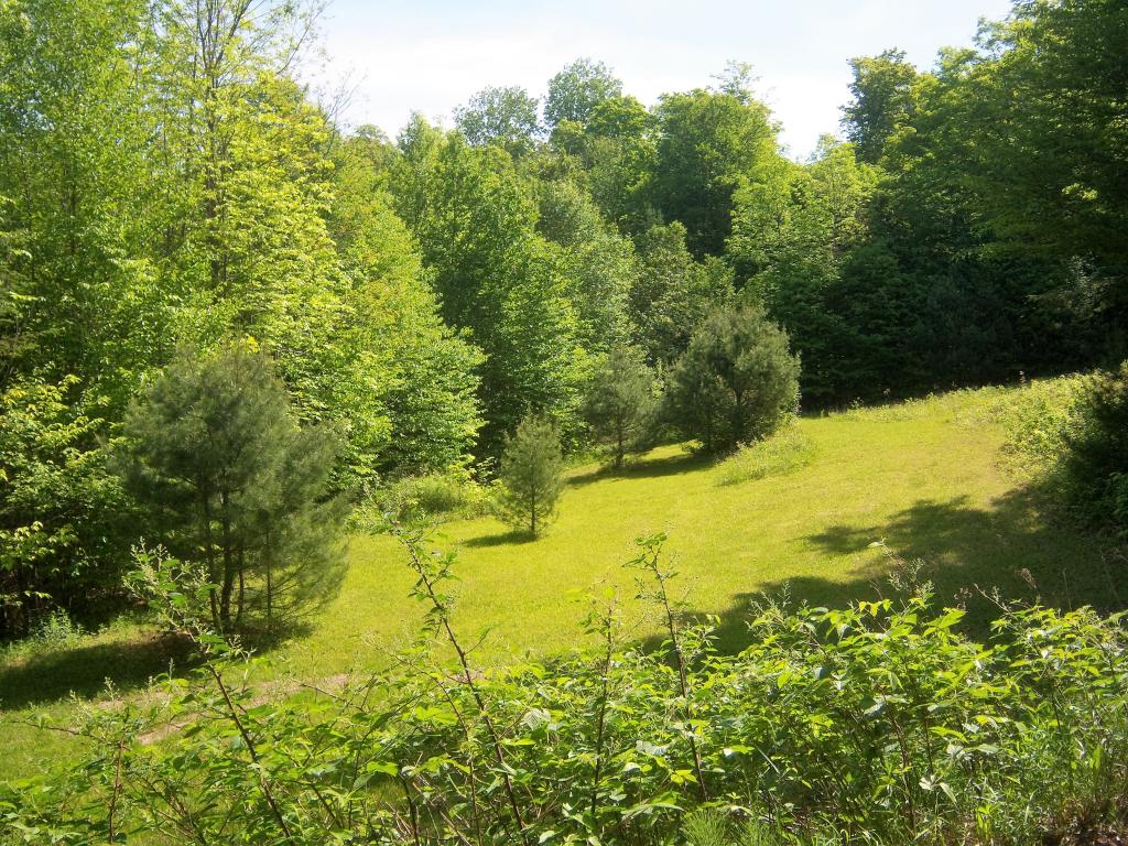 2938 Pepper Road Washington, VT 05675 - Photo 2 of 33