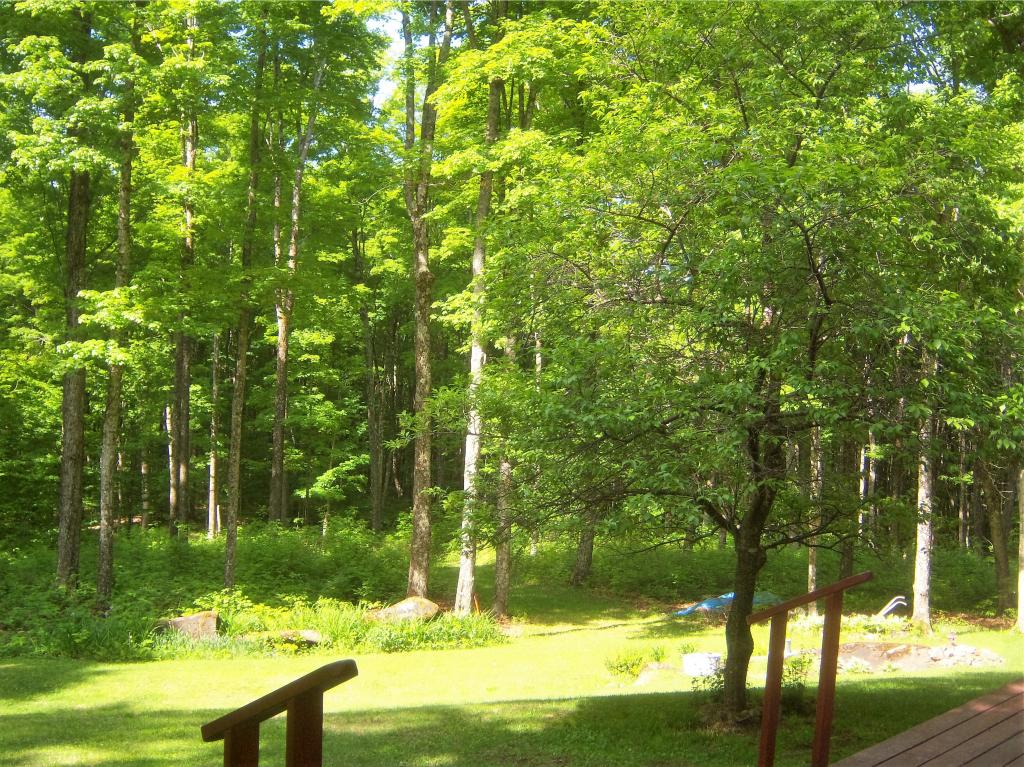 2938 Pepper Road Washington, VT 05675 - Photo 24 of 33
