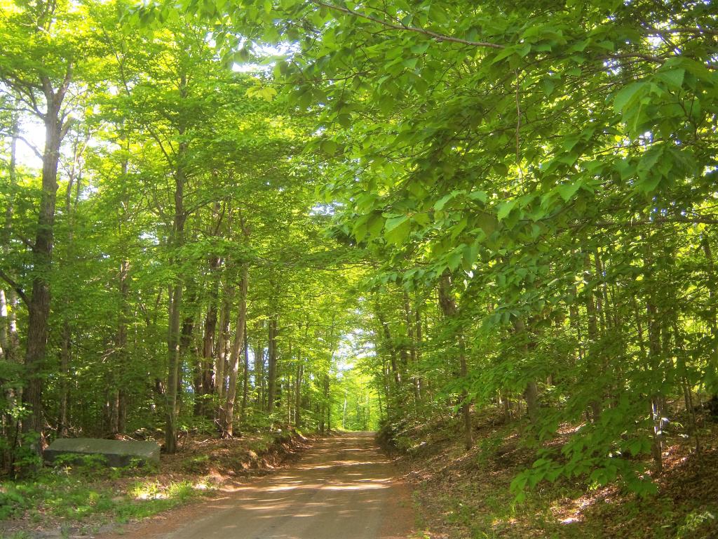 2938 Pepper Road Washington, VT 05675 - Photo 25 of 33