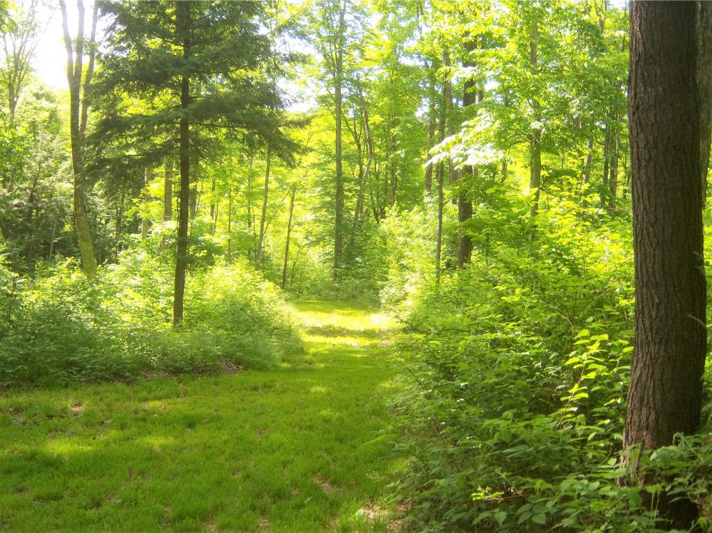 2938 Pepper Road Washington, VT 05675 - Photo 28 of 33