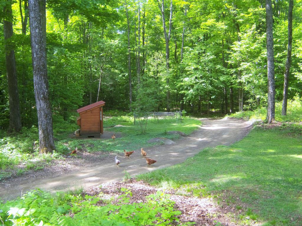 2938 Pepper Road Washington, VT 05675 - Photo 30 of 33