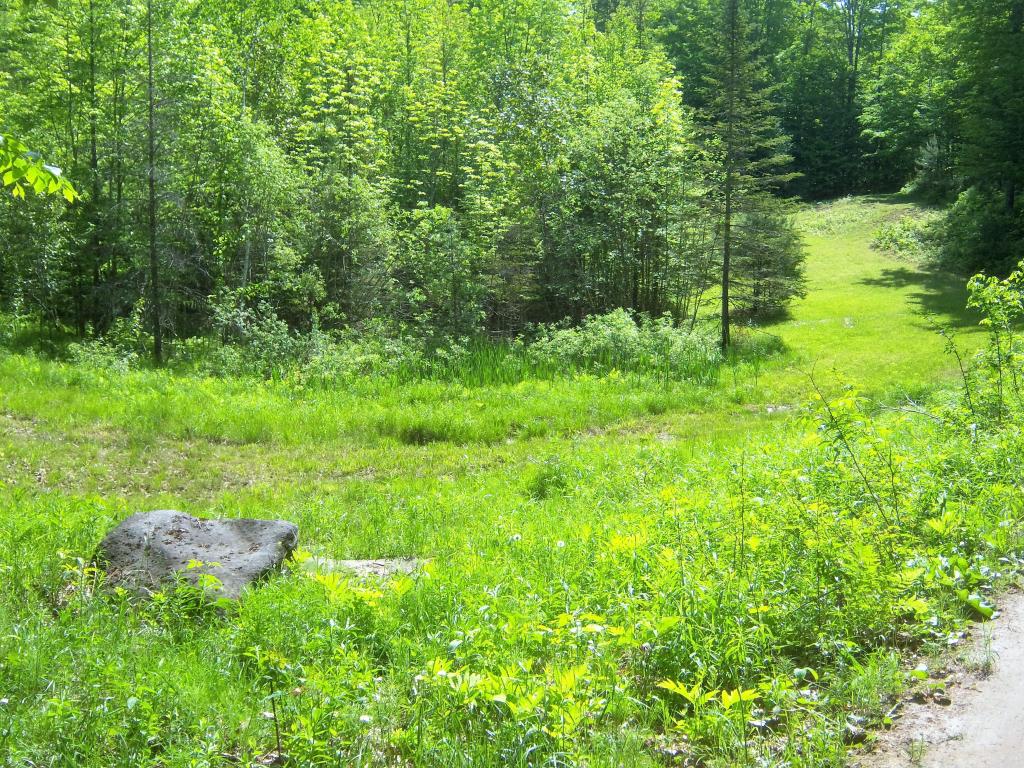 2938 Pepper Road Washington, VT 05675 - Photo 31 of 33