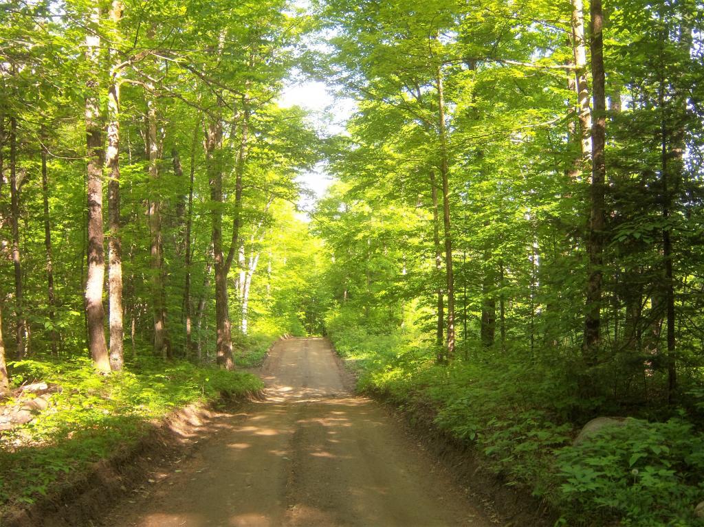 2938 Pepper Road Washington, VT 05675 - Photo 8 of 33