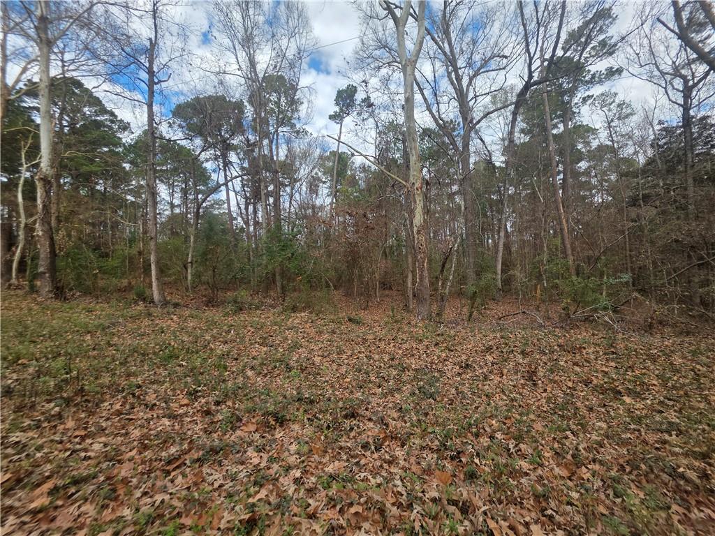 Tbd Rolling Hills Road Converse, LA 71419 - Photo 3 of 6