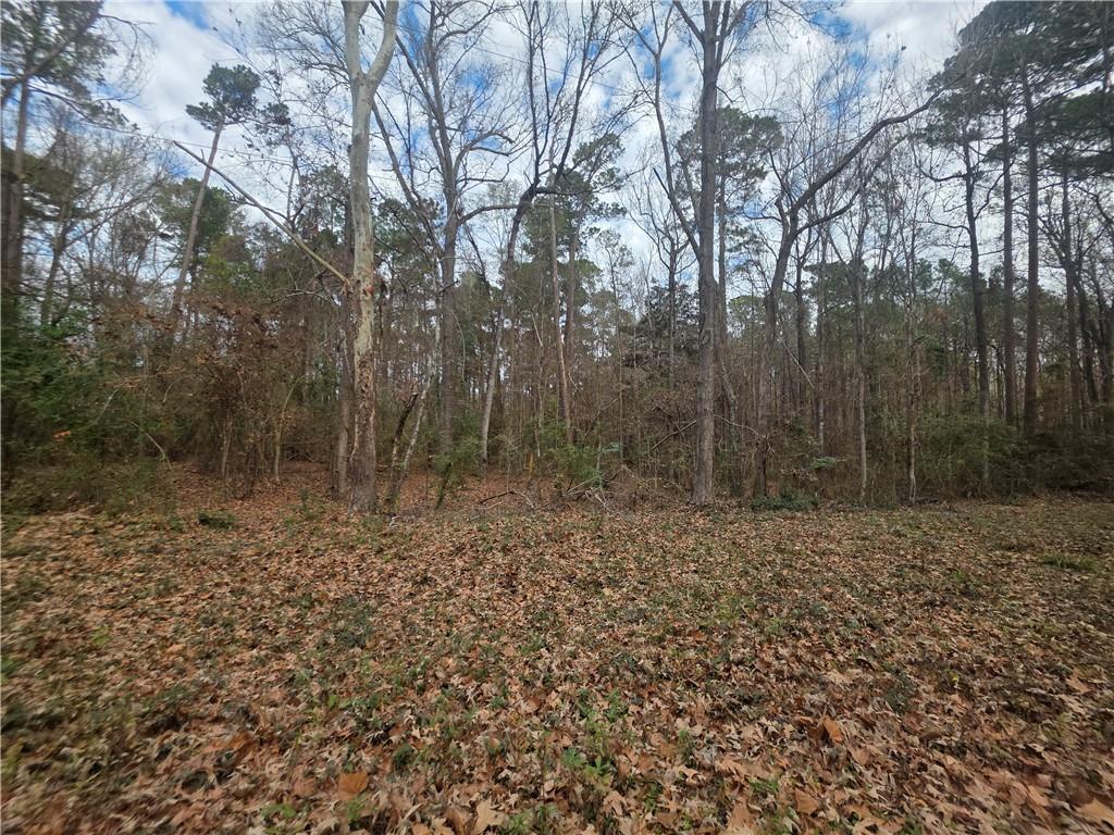 Tbd Rolling Hills Road Converse, LA 71419 - Photo 4 of 6