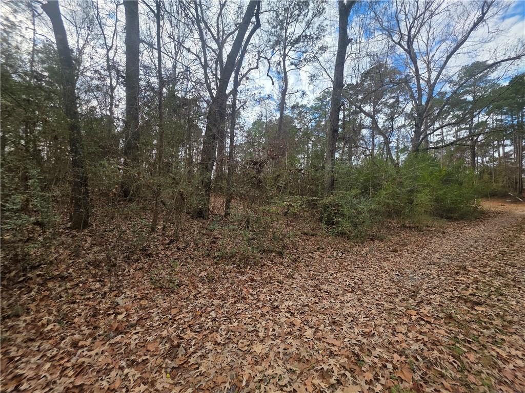 Tbd Rolling Hills Road Converse, LA 71419 - Photo 5 of 6