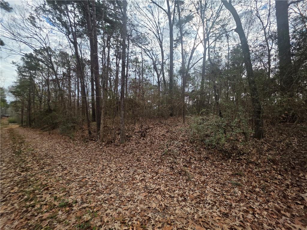 Tbd Rolling Hills Road Converse, LA 71419 - Photo 6 of 6