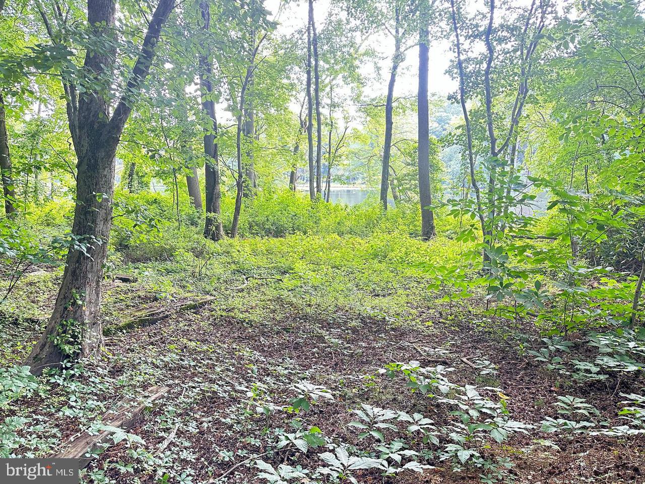 337 Ewan Road Mullica Hill, NJ 08062 - Photo 12 of 23 a big yard with lots of green space and trees