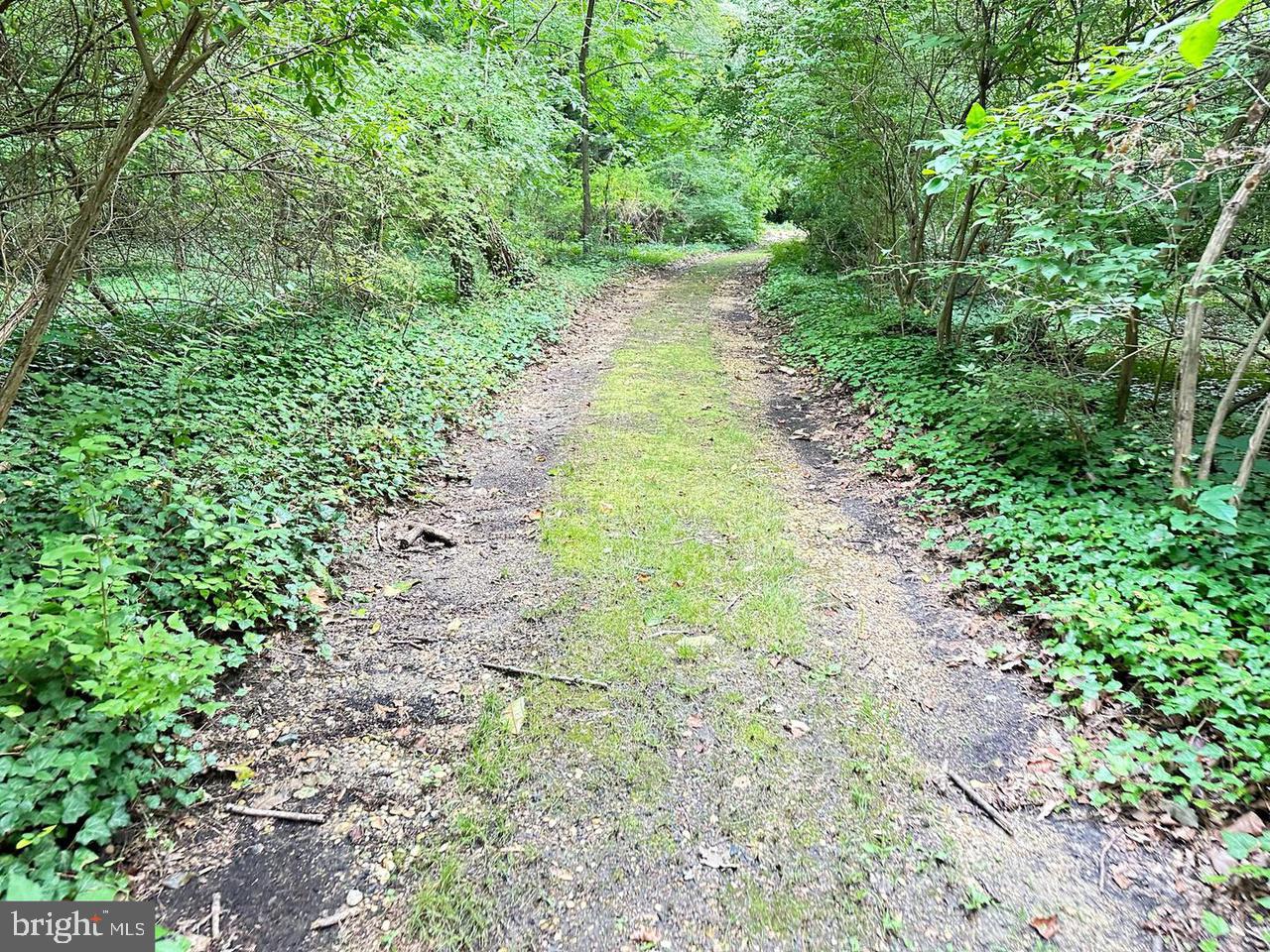 337 Ewan Road Mullica Hill, NJ 08062 - Photo 13 of 23 a view of a pathway both side of yard