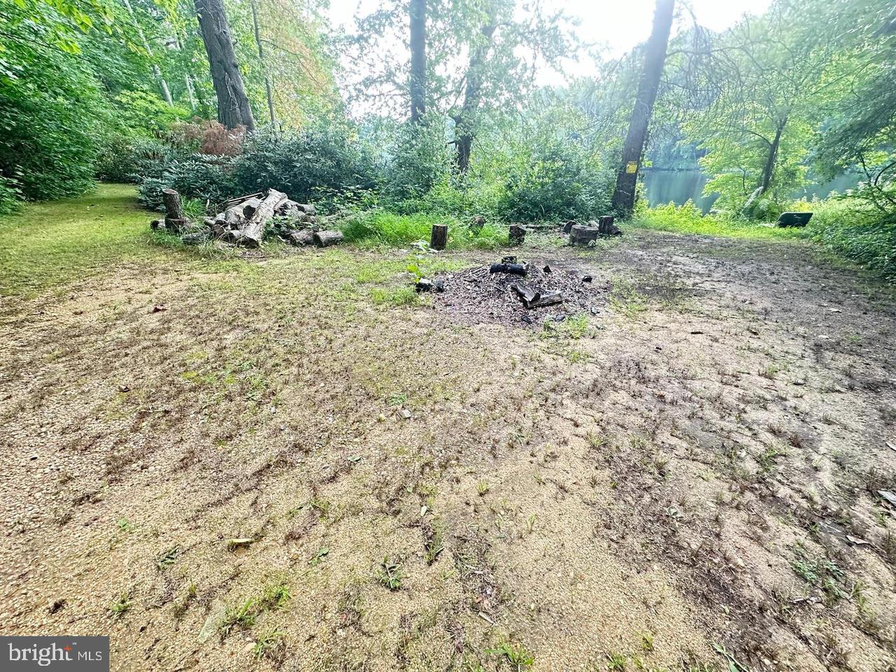337 Ewan Road Mullica Hill, NJ 08062 - Photo 17 of 23 a view of a yard with a tree
