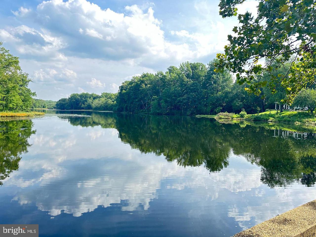 337 Ewan Road Mullica Hill, NJ 08062 - Photo 4 of 23 a view of a lake with a yard and a large tree