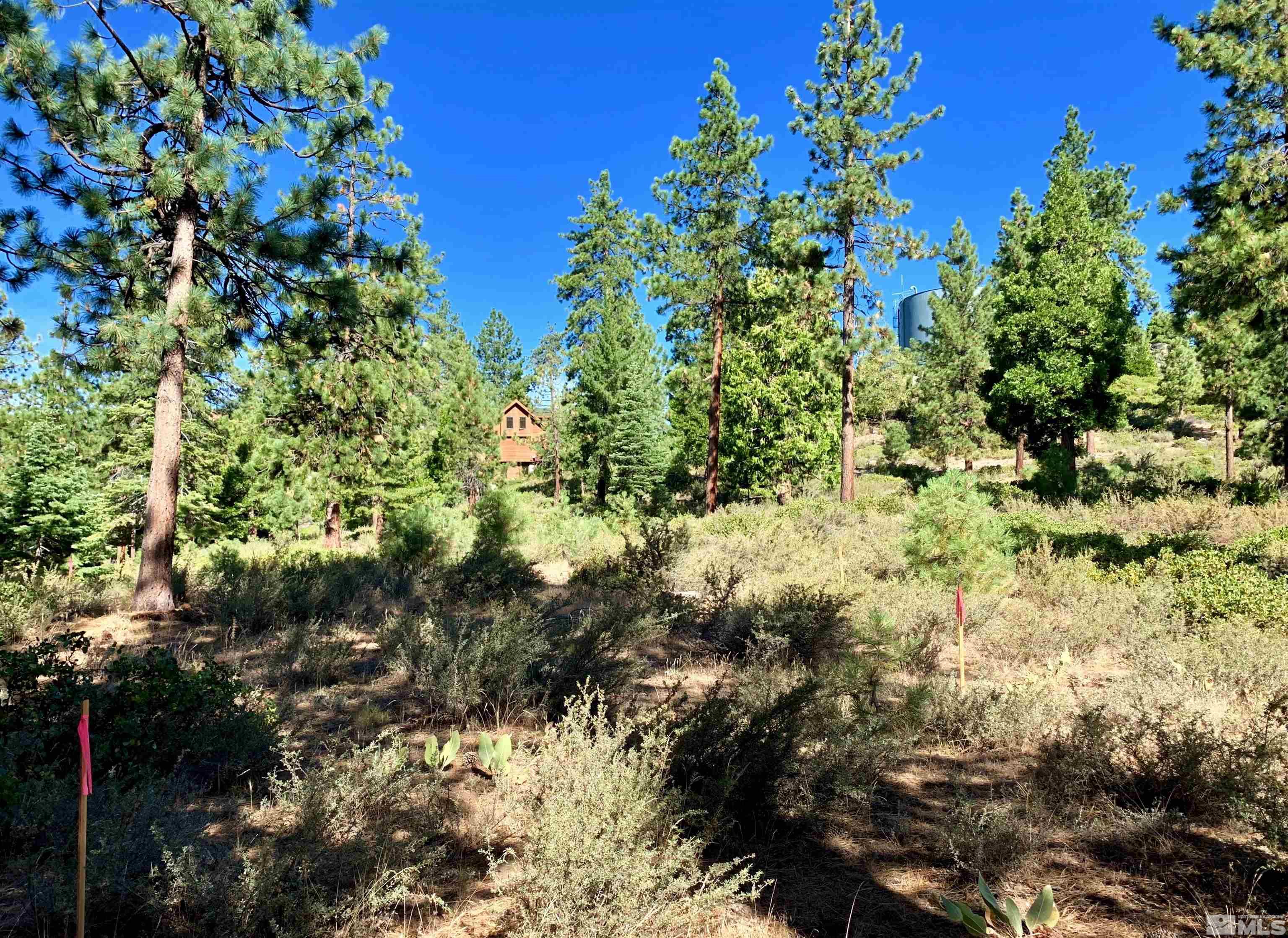 3 Kelly Circle Glenbrook, NV 89413 - Photo 3 of 12 Photo 3