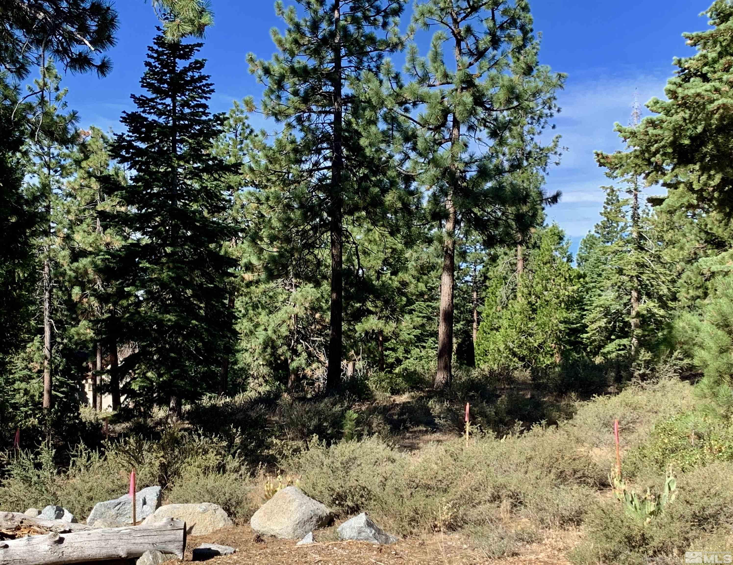 3 Kelly Circle Glenbrook, NV 89413 - Photo 4 of 12 Photo 4