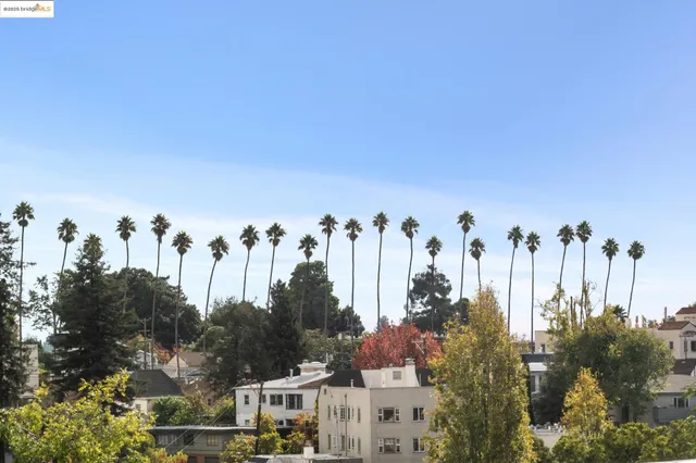 $1,245,000 | 919 McKinley Avenue, Oakland, CA 94610