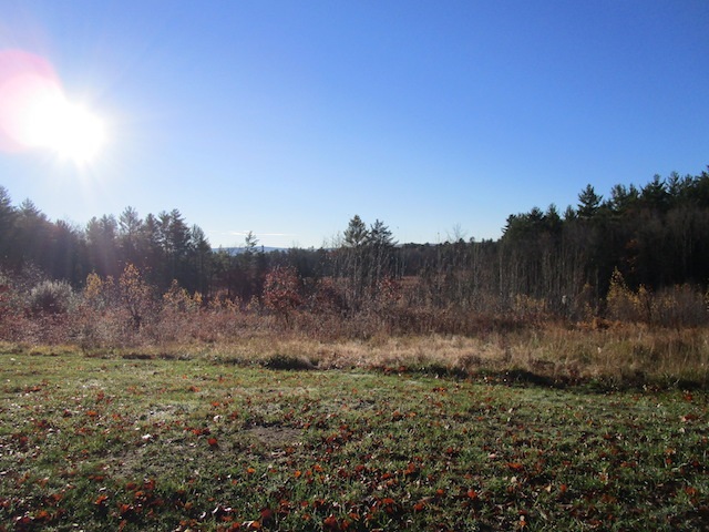 23 Crest Ridge Drive Barnstead, NH 03225 - Photo 9 of 22