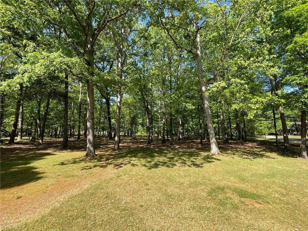 7235 Ledbetter Road Climax, NC 27233 - Photo 22 of 28