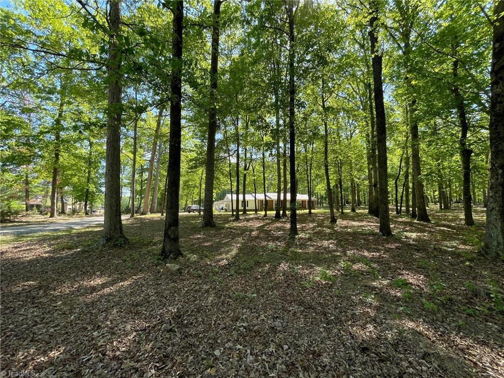 7235 Ledbetter Road Climax, NC 27233 - Photo 26 of 28