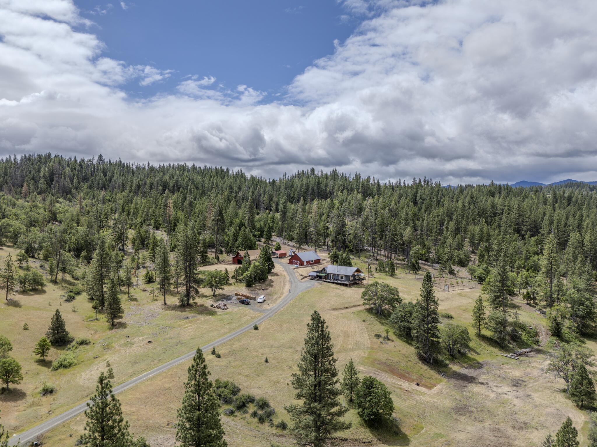 1969 Colestin Road Ashland, OR 97520 - Photo 6 of 72 DJI_20260527024223_0388_D-HDR