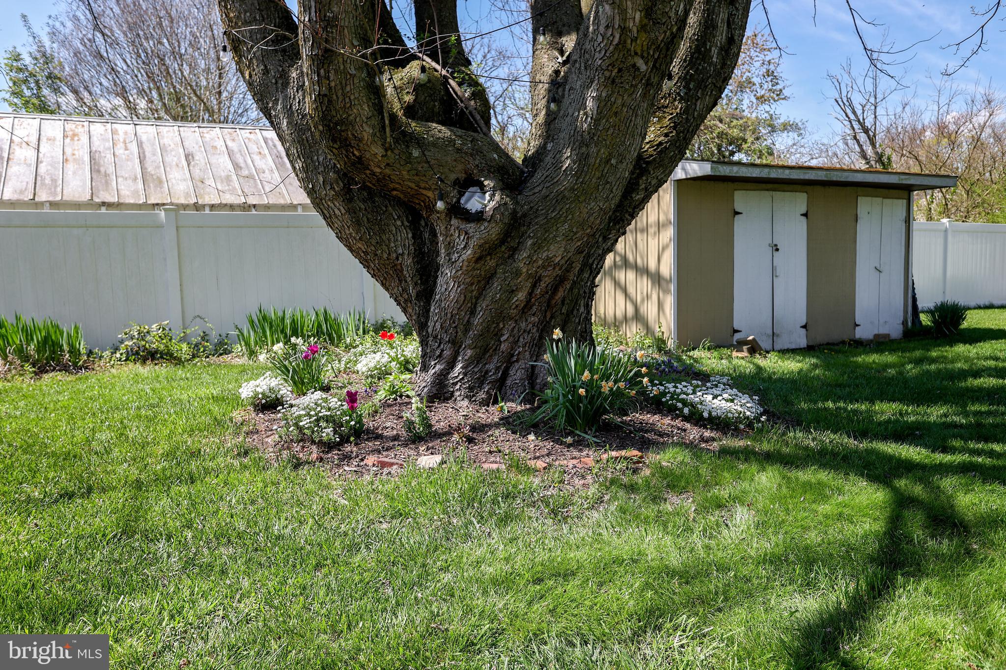 217 Greenridge Road Federalsburg, MD 21632 - Photo 16 of 20 Gallery Image 16