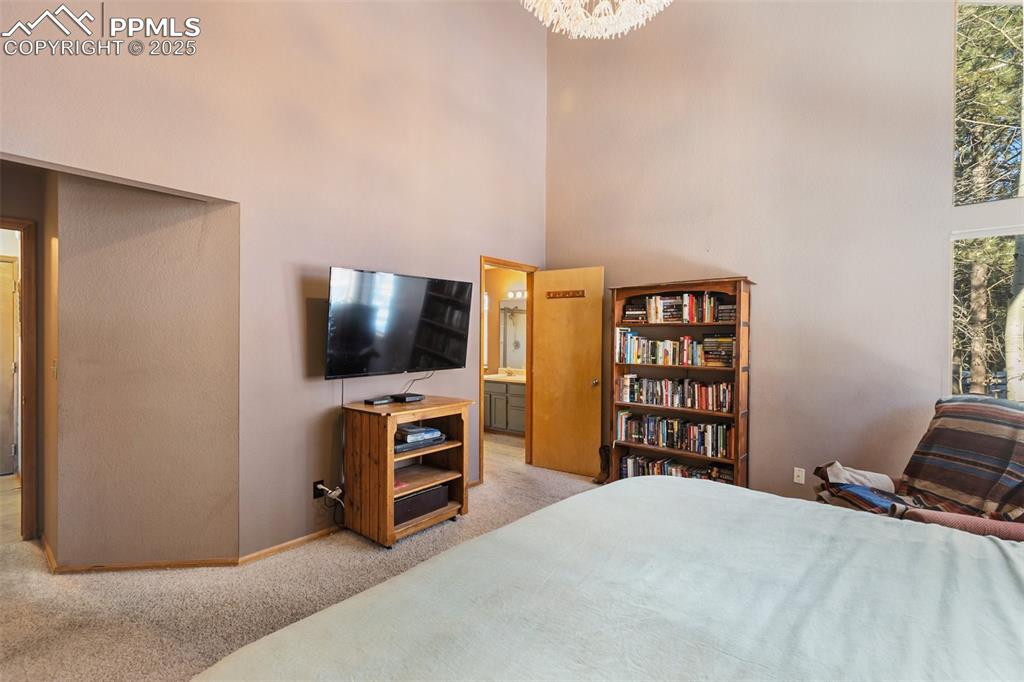 747 Pinon Ridge Drive Woodland Park, CO 80863 - Photo 12 of 32 a bedroom with a flat screen tv and a couch