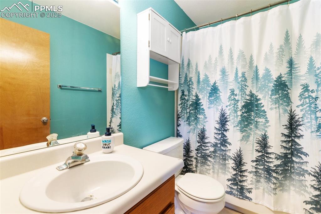 747 Pinon Ridge Drive Woodland Park, CO 80863 - Photo 18 of 32 a bathroom with a sink a toilet and shower curtain