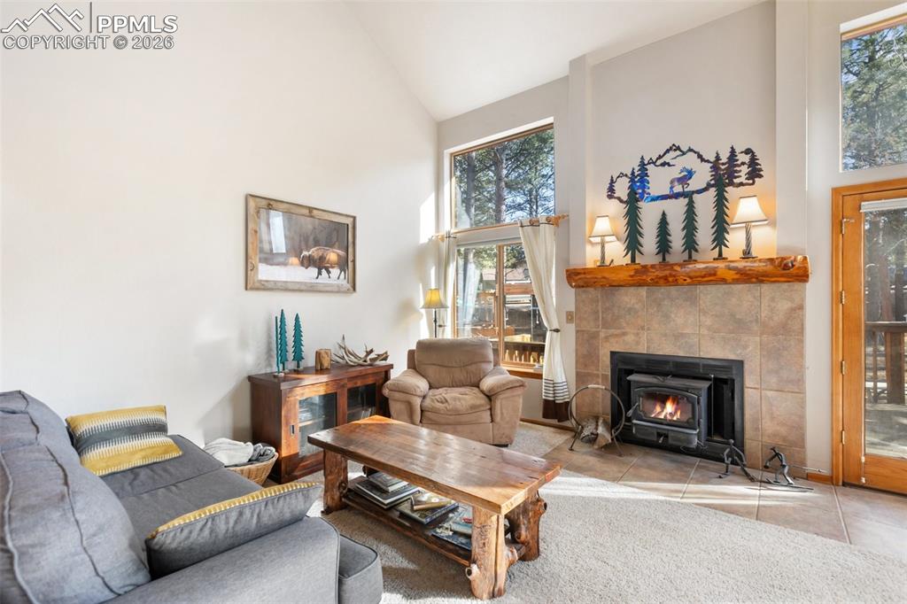747 Pinon Ridge Drive Woodland Park, CO 80863 - Photo 2 of 32 a living room with furniture and a fireplace