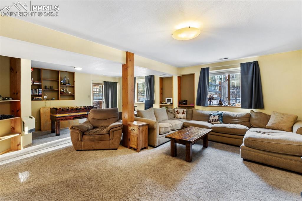747 Pinon Ridge Drive Woodland Park, CO 80863 - Photo 21 of 34 Family Room - Basement