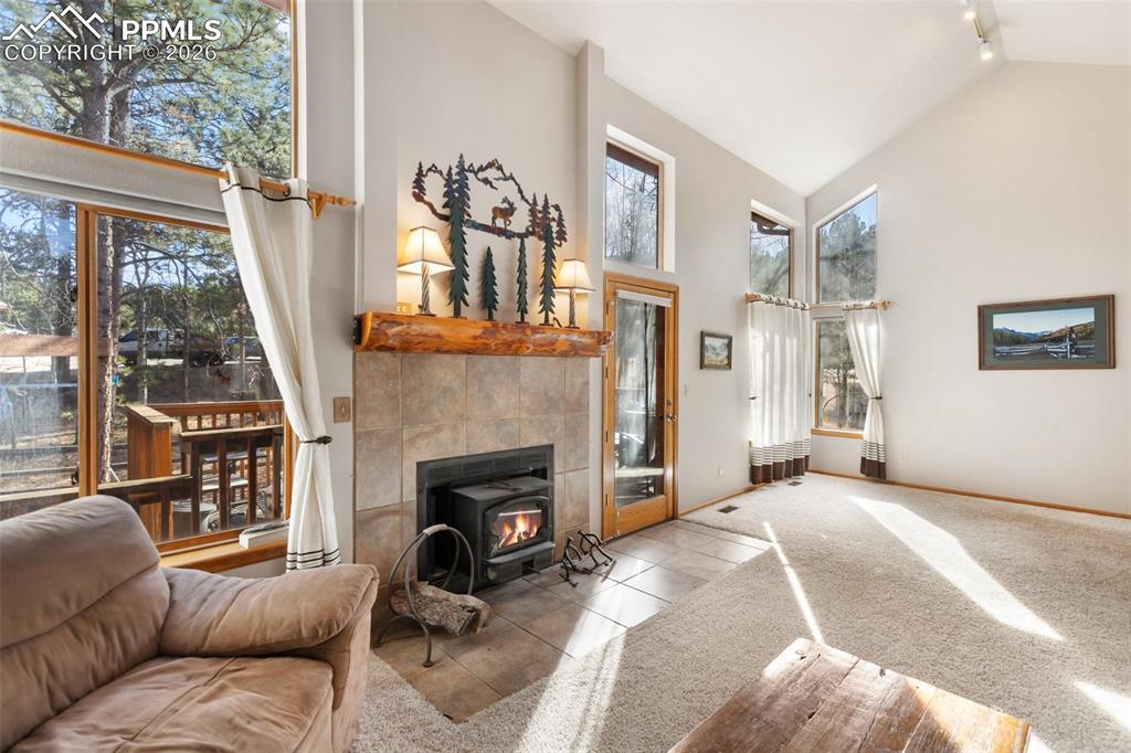 747 Pinon Ridge Drive Woodland Park, CO 80863 - Photo 3 of 32 a living room with furniture a fireplace and a large window