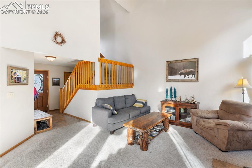 747 Pinon Ridge Drive Woodland Park, CO 80863 - Photo 4 of 32 a living room with furniture and a couch