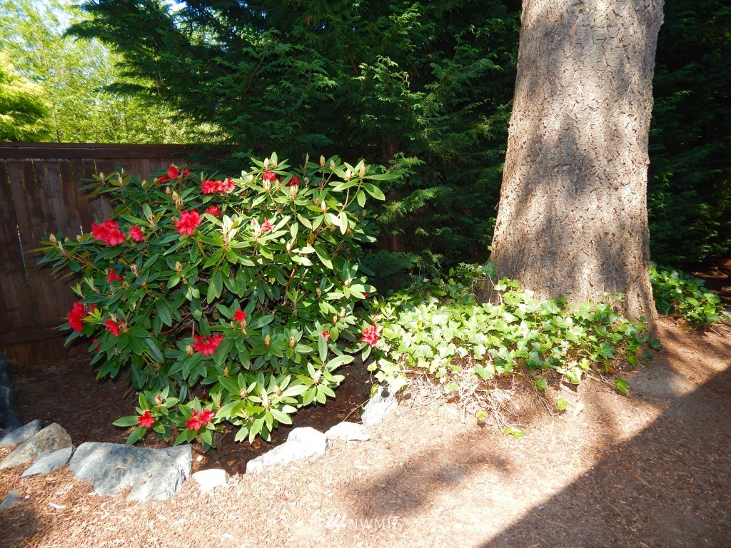 33 199th Street Southeast Bothell, WA 98012 - Photo 19 of 23
