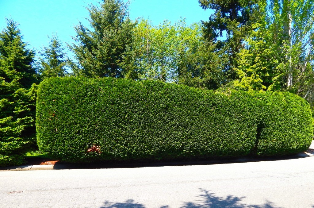 33 199th Street Southeast Bothell, WA 98012 - Photo 20 of 23