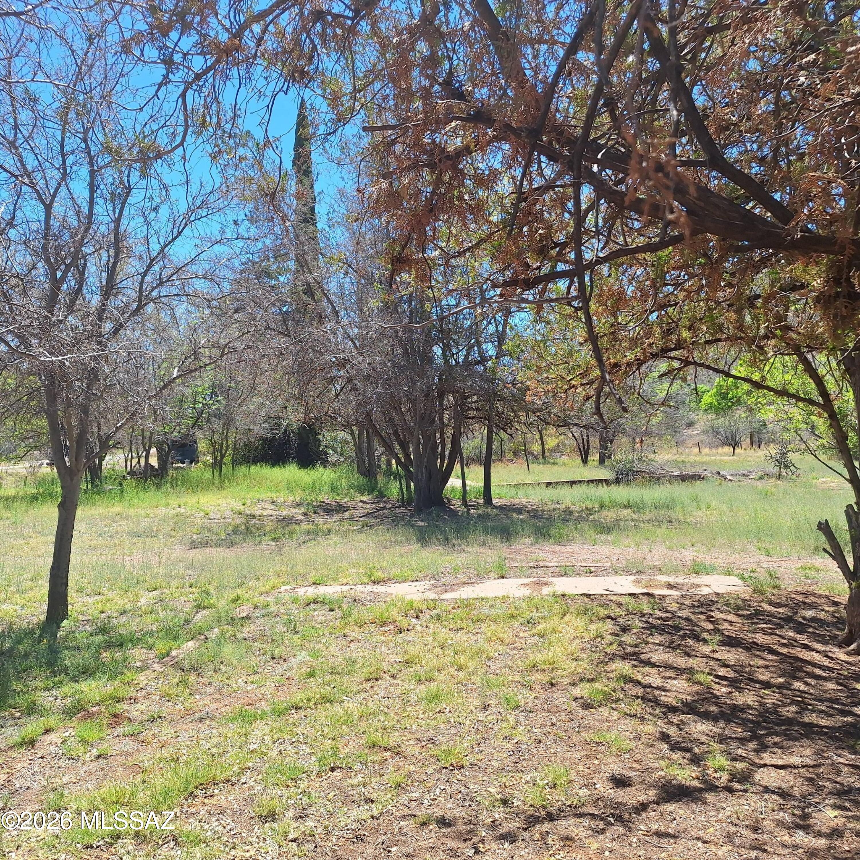 3 Arizona Street Bisbee, AZ 85603 - Photo 1 of 13 a view of a yard with a tree