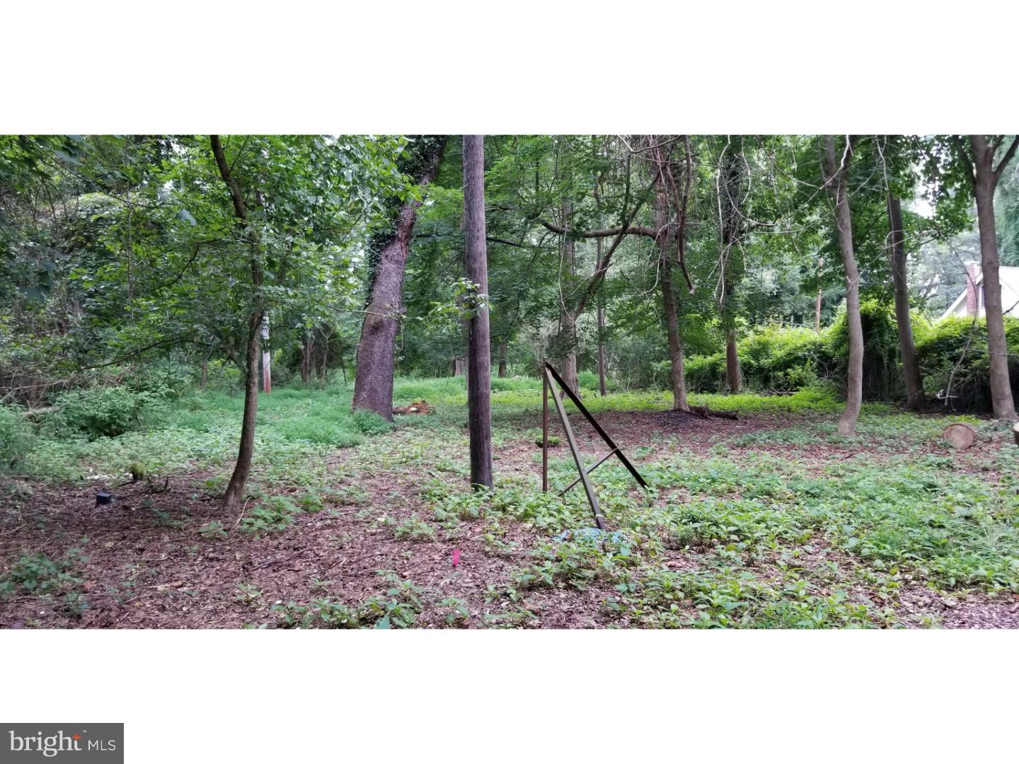 2602 River Road New Hope, PA 18938 - Photo 6 of 9 a view of a yard in a park