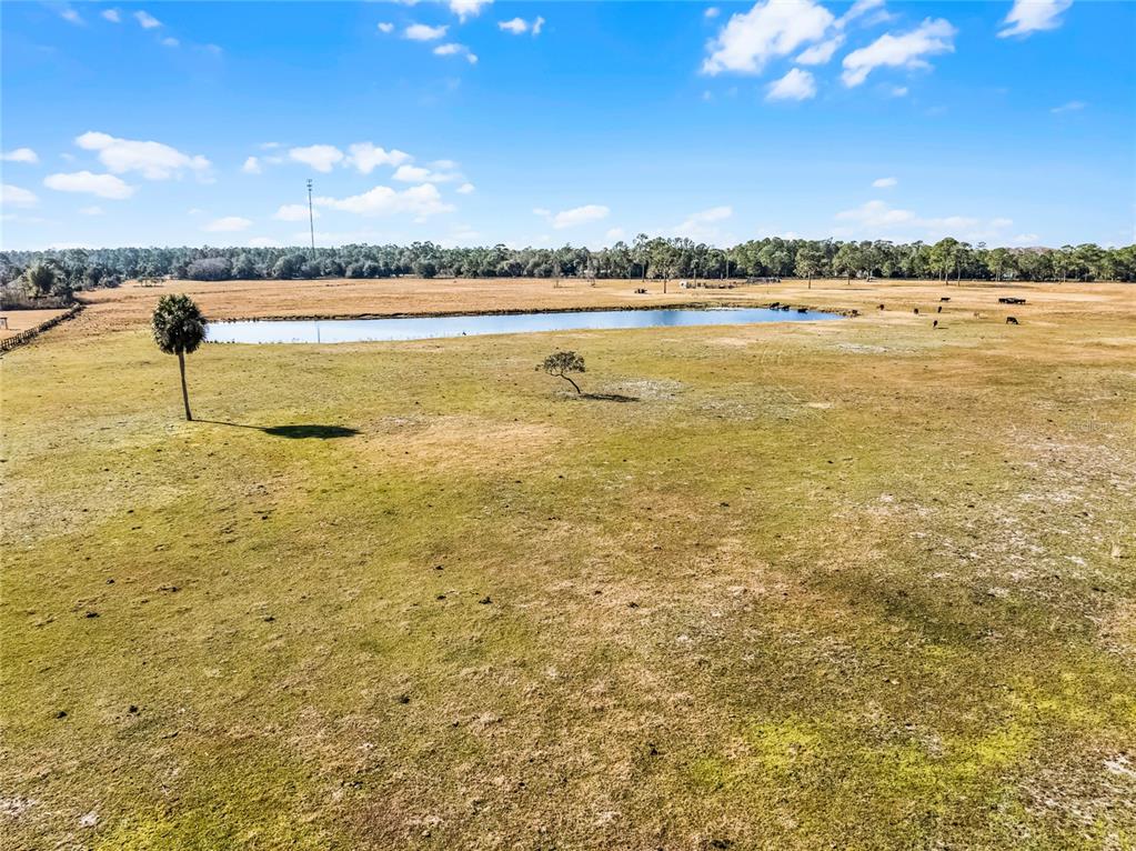 2120 St Johns River Road Astor, FL 32102 - Photo 12 of 23 a view of an ocean from a city