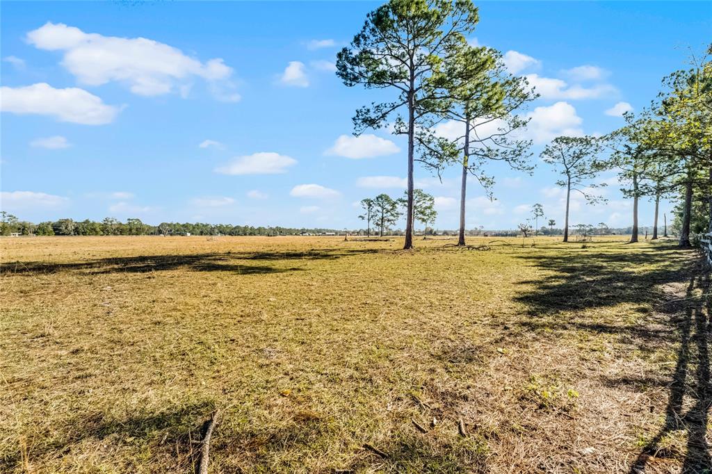 2120 St Johns River Road Astor, FL 32102 - Photo 17 of 23